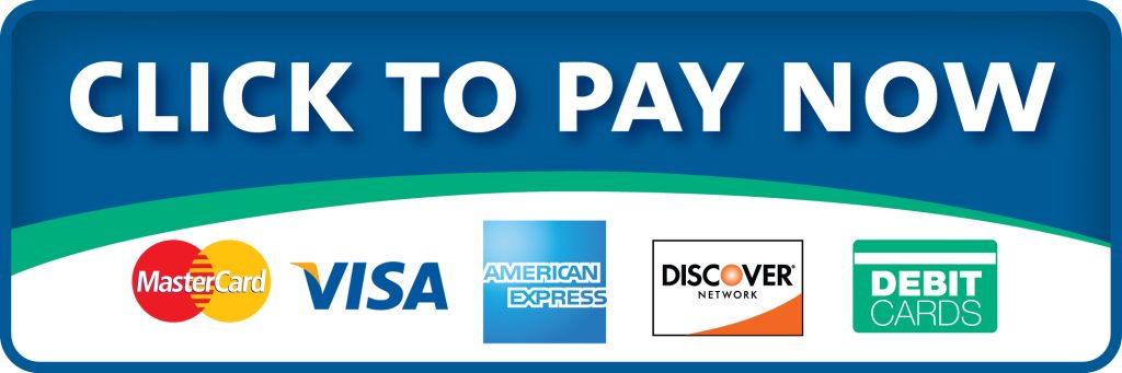 Pay Now-Logo-336x280 Pay Now Button